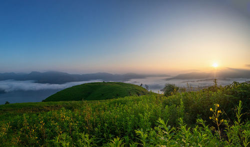 Scenic view of field against sky during sunrise