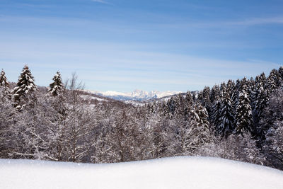 Snow covered land against sky