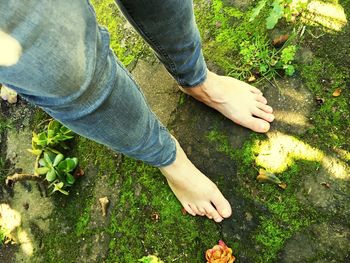 Low section of man wearing shoes on grass