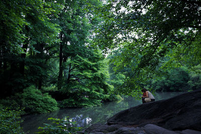 Man on rock amidst trees in forest