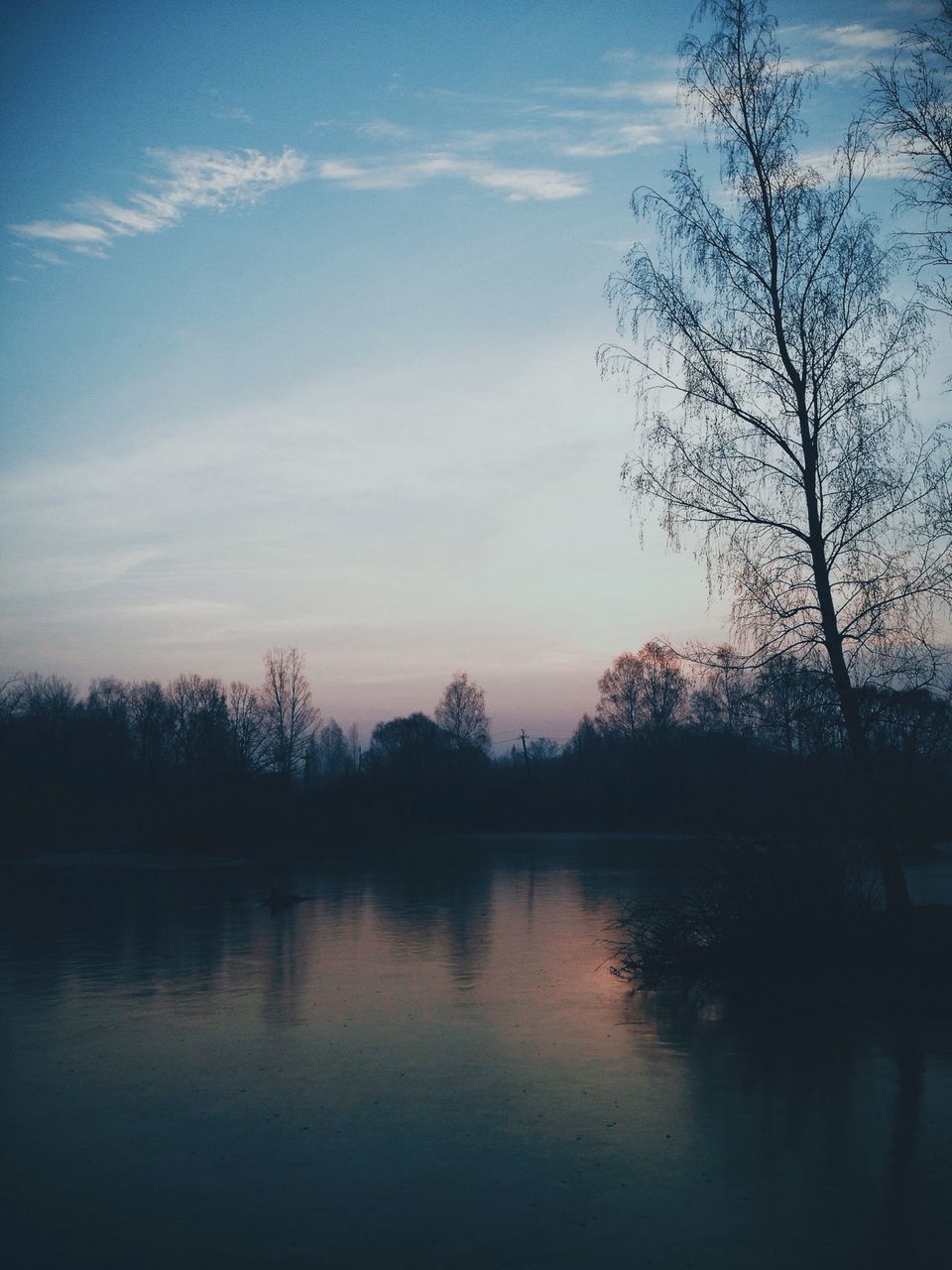 tree, water, tranquility, silhouette, tranquil scene, sky, bare tree, lake, scenics, reflection, beauty in nature, waterfront, sunset, nature, cloud - sky, idyllic, river, cloud, branch, outdoors