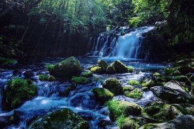 Scenic view of waterfall in forest