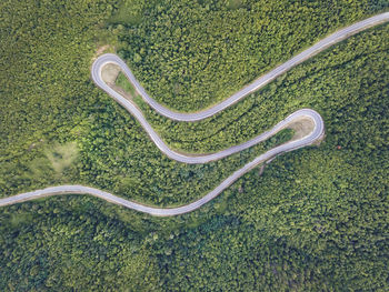 High angle view of tire tracks on field