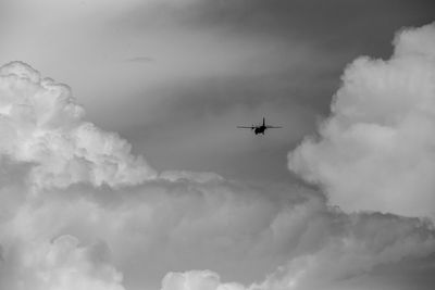 Low angle view of airplane flying in sky