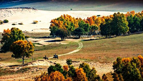 Scenic view of trees on landscape during autumn