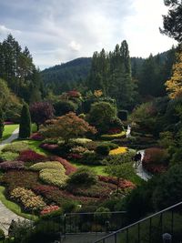 View of trees in garden against sky