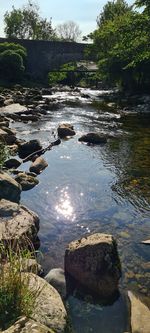 Scenic view of rocks in water