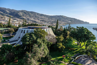 High angle view of trees and plants