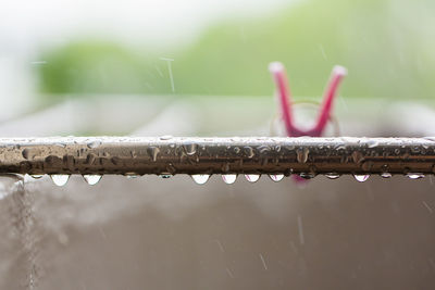 Raindrops soaking up our daily life things around us - singapore