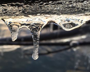 Close-up of water drops on leaf