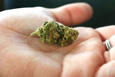 Cropped hand of woman holding marijuana