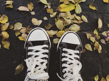 Low section of person standing on autumn leaves