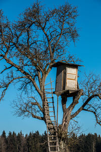 Low angle view of tree against blue sky