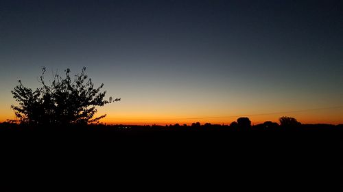 Silhouette trees on field against clear sky