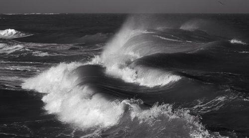 Majestic sea waves