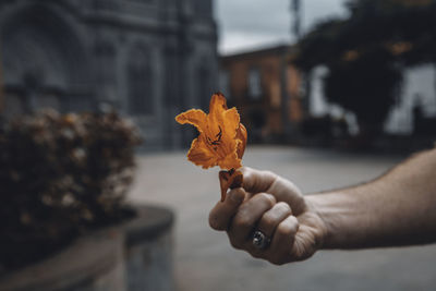 Person holding maple leaf during autumn