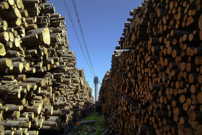 Stack of logs against sky