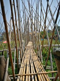 Walkway amidst trees against sky