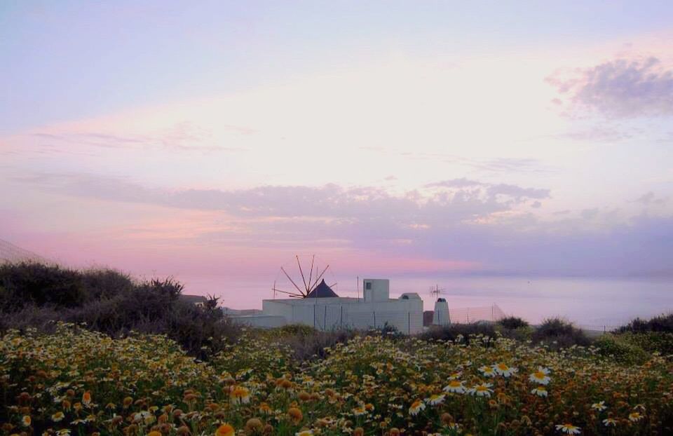 building exterior, architecture, built structure, sky, sunset, field, cloud - sky, plant, landscape, nature, growth, rural scene, beauty in nature, house, no people, outdoors, cloud, cloudy, scenics, orange color