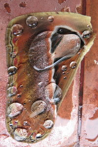 Close-up of rusty metal