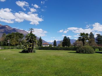 Trees and plants on field against sky