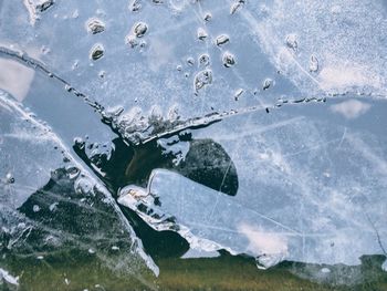 Close-up of frozen water