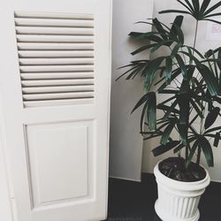 Close-up of potted plant on window sill