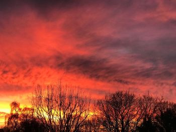 Low angle view of silhouette trees against dramatic sky