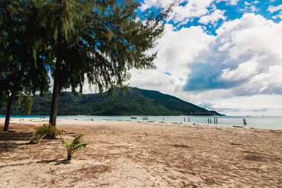 Scenic view of beach against sky