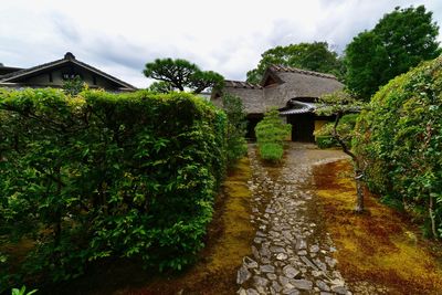 Footpath amidst plants and trees and building against sky