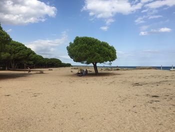 Scenic view of calm sea against blue sky