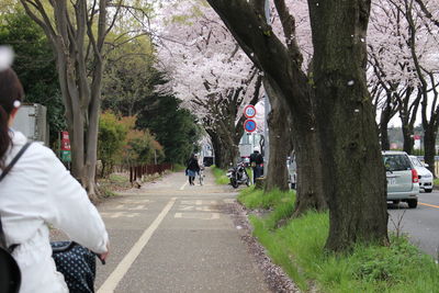 People walking on road