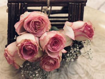 Close-up of pink roses