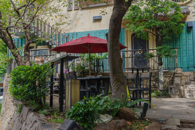 Potted plants outside building