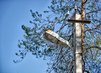 Low angle view of bare tree against blue sky