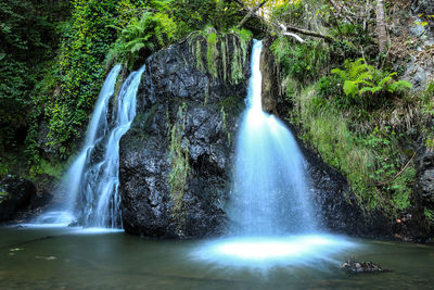 Scenic view of waterfall in forest