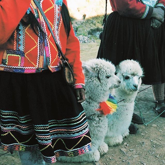 Saksaywaman