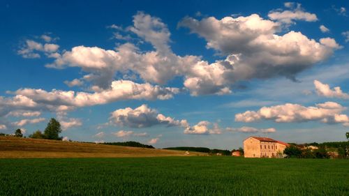 Scenic view of agricultural field against sky