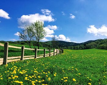 Scenic view of field against cloudy sky