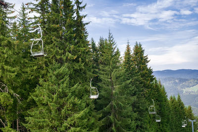 Chairlift with pine trees behind, ski resort, summer view, paltinis area, sibiu county, romania