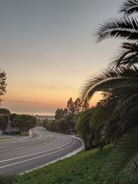 Empty road by trees against sky during sunset