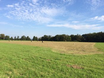 Scenic view of grassy field against cloudy sky