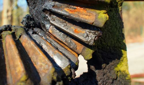 Close-up of rusty metal