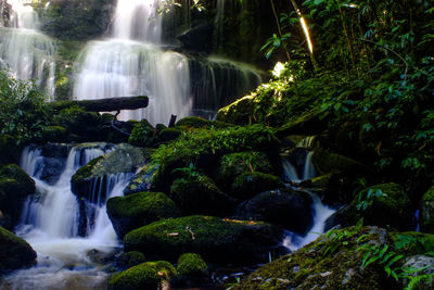 Scenic view of waterfall in forest