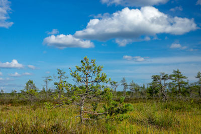 Scenic view of land against sky