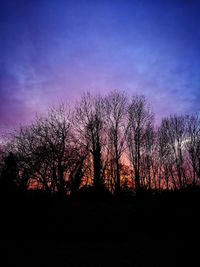 Silhouette trees against sky at sunset