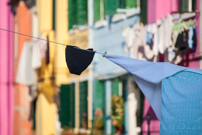 Close-up of leaf hanging on street against buildings in city