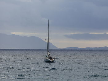 Sailboat sailing on sea against sky