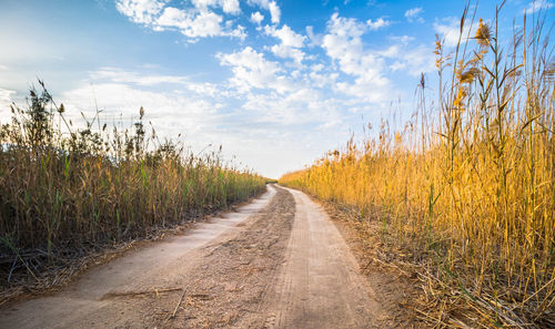 Dirt road amidst field against sky