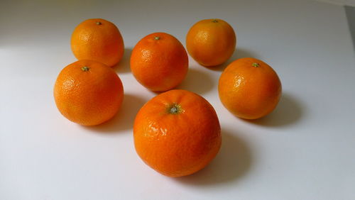 Close-up of orange fruit over white background